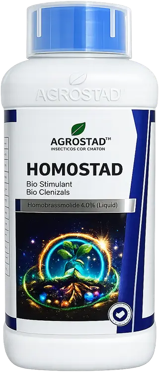 HOMOSTAD