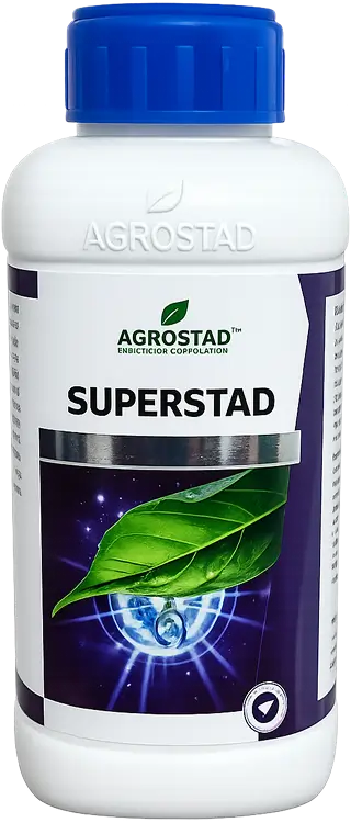 SUPERSTAD