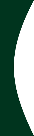 shape1