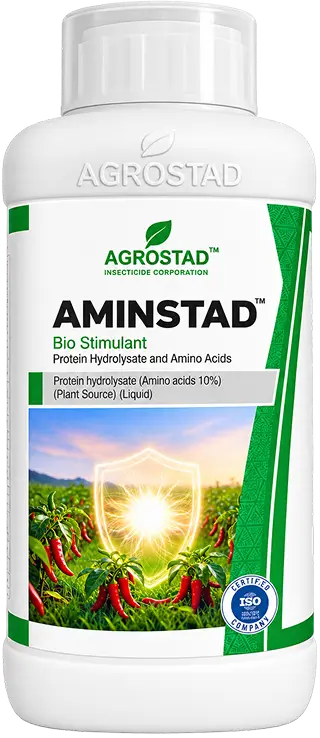 AMINSTAD