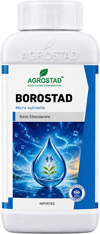 BOROSTAD