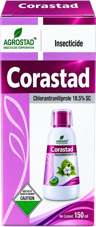 CORASTAD
