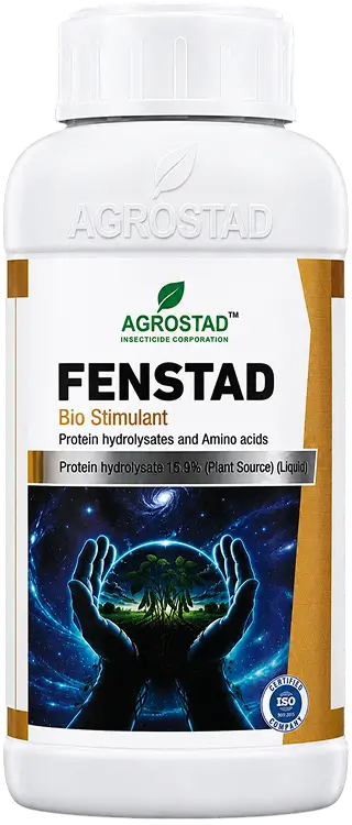 FENSTAD