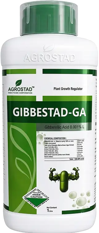 GIBBESTAD-GA