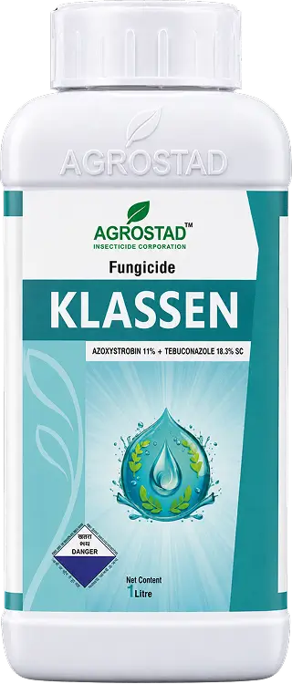KLASSEN