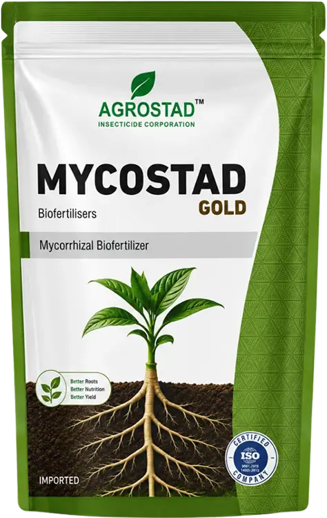 MYCOSTAD-GOLD