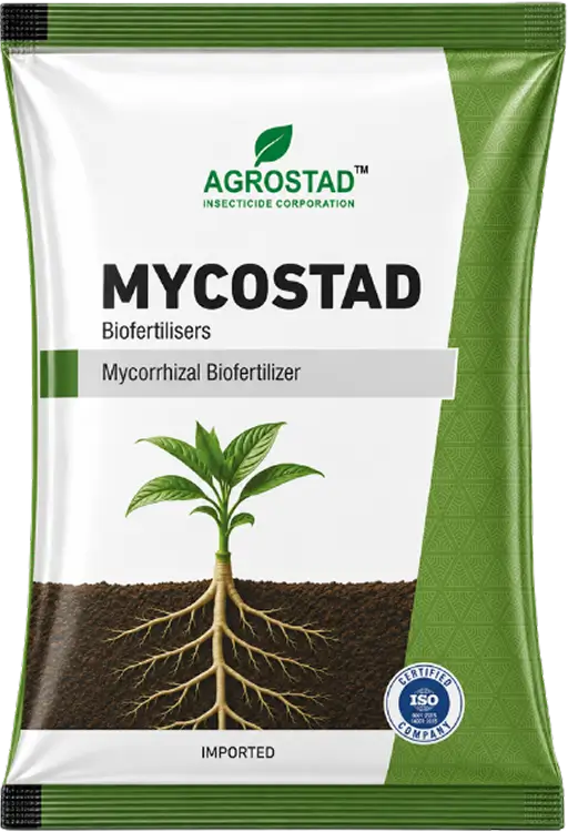 MYCOSTAD