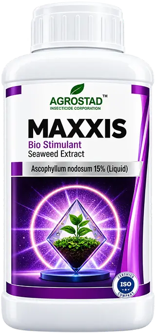 MAXXIS