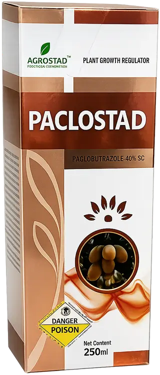 PACLOSTAD