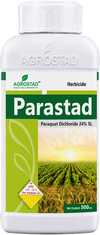 PARASTAD