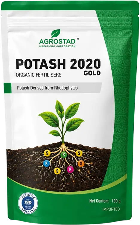 POTASH 2020