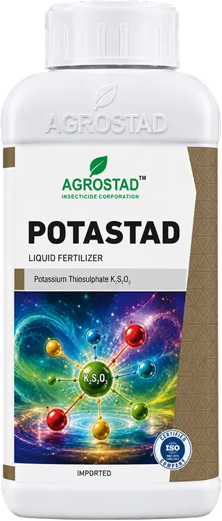 POTASTAD