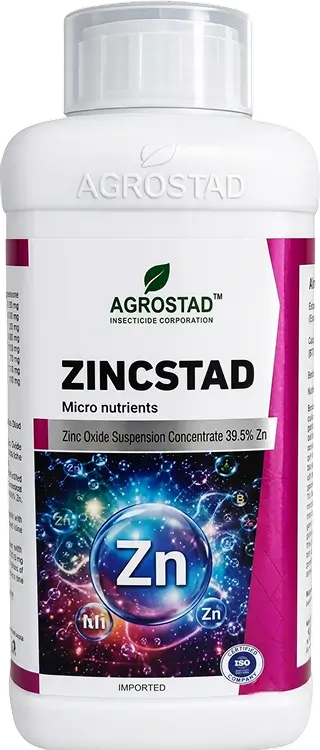 ZINCSTAD
