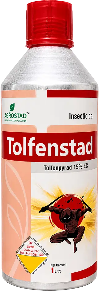 TOLFENSTAD